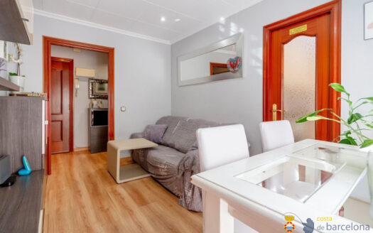 Квартира в Аренис-де-Мунт