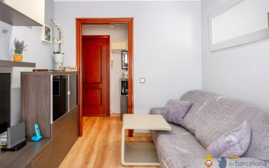 Квартира в Аренис-де-Мунт