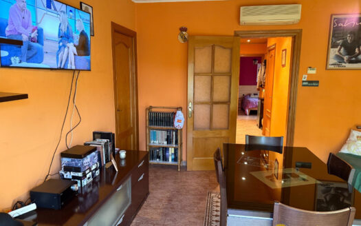 Квартира в Пинеда-де-Мар