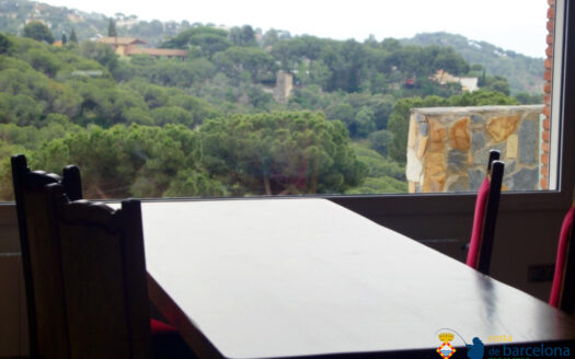 Вилла в Алелье