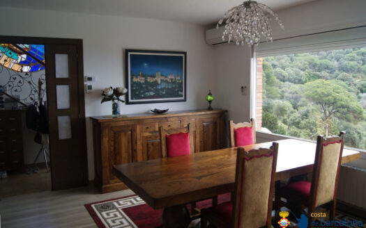 Вилла в Алелье