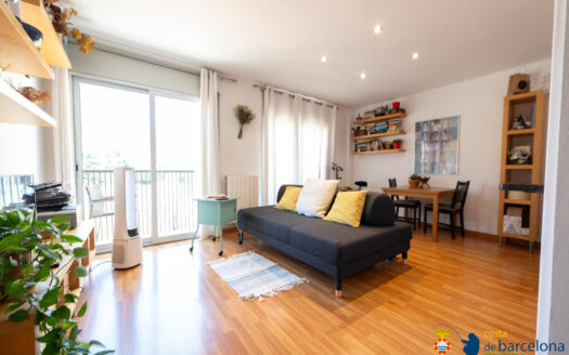 Квартира в Аренис-де-Мунт