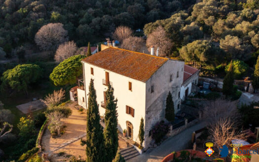 Усадьба в Пинеда-де-Мар